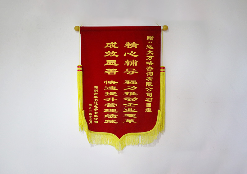 精心輔導(dǎo)，強力推動企業(yè)變革